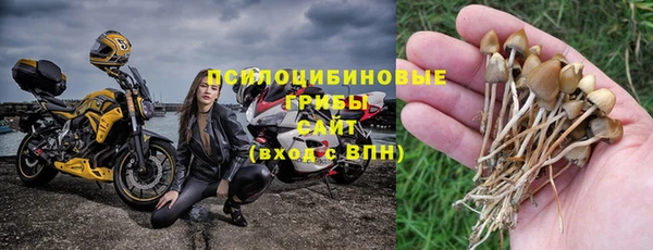 PSILOCYBIN Нея
