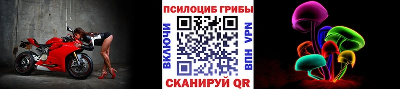 Псилоцибиновые грибы Psilocybe Шиханы
