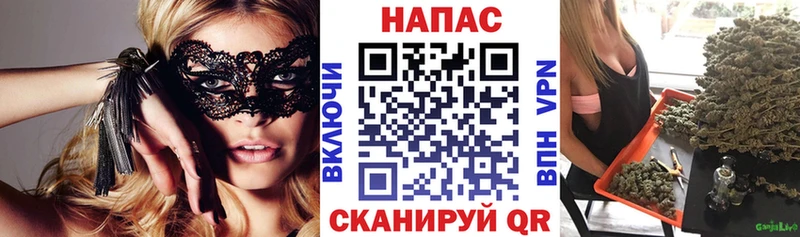 Бошки марихуана Bruce Banner  Шиханы 